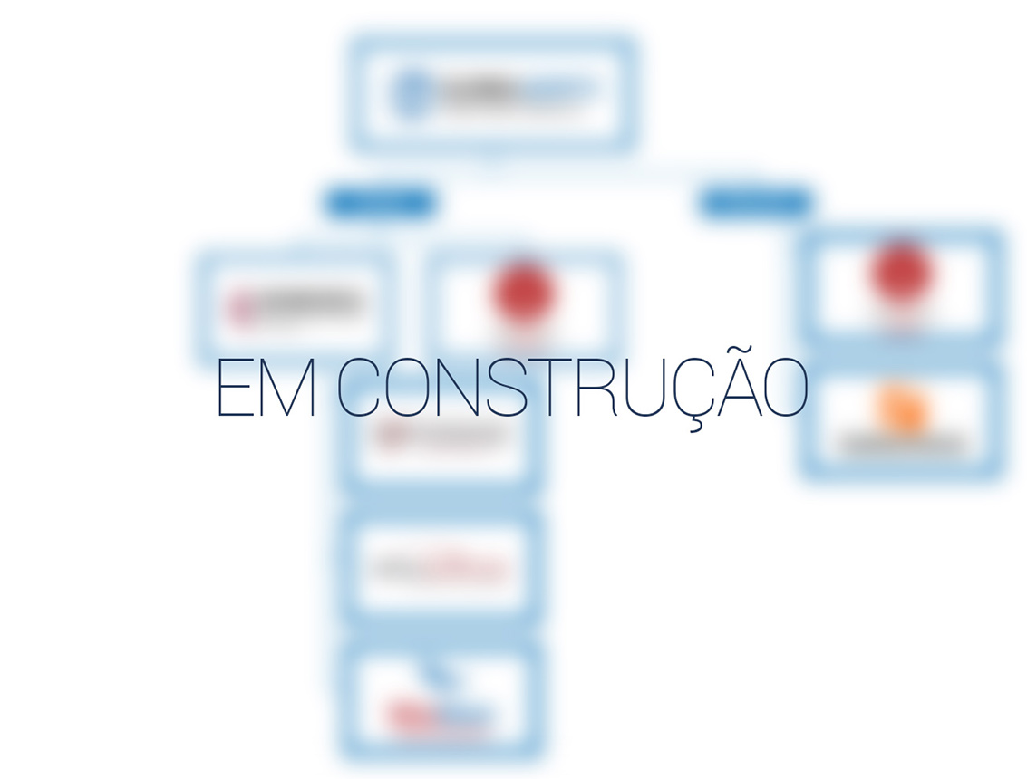 organograma em construção